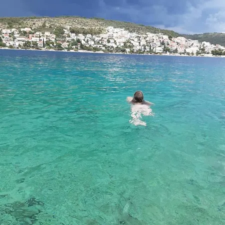 Ema * トロギール