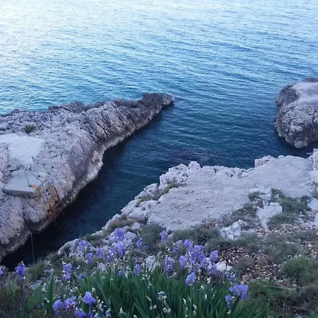 Ema * トロギール