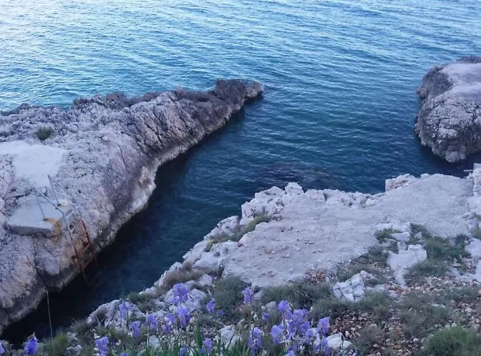 Ema * Τρογκίρ