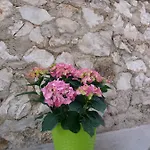 Ema Apartment Trogir