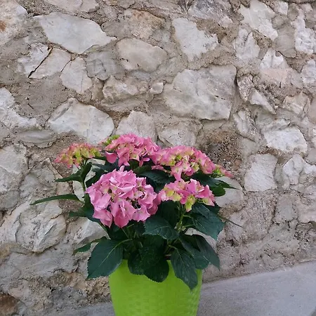 Ema Apartamento Trogir