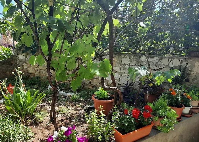 Appartement Ema