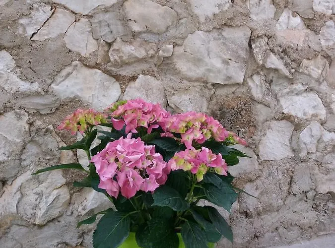 Ema Lejlighed Trogir