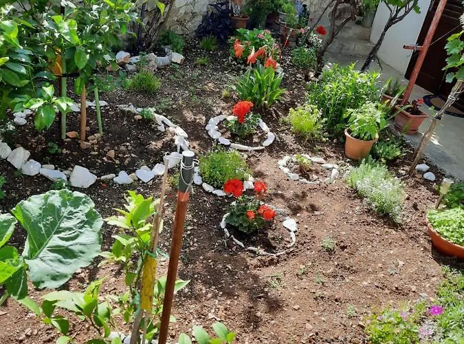 Ema Lejlighed Trogir